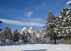 Snowy Johnstown Colorado